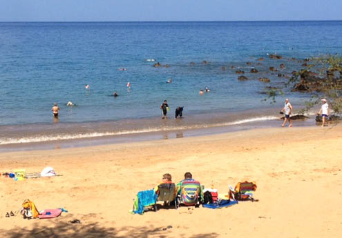 Calm Dive Conditions in Maui